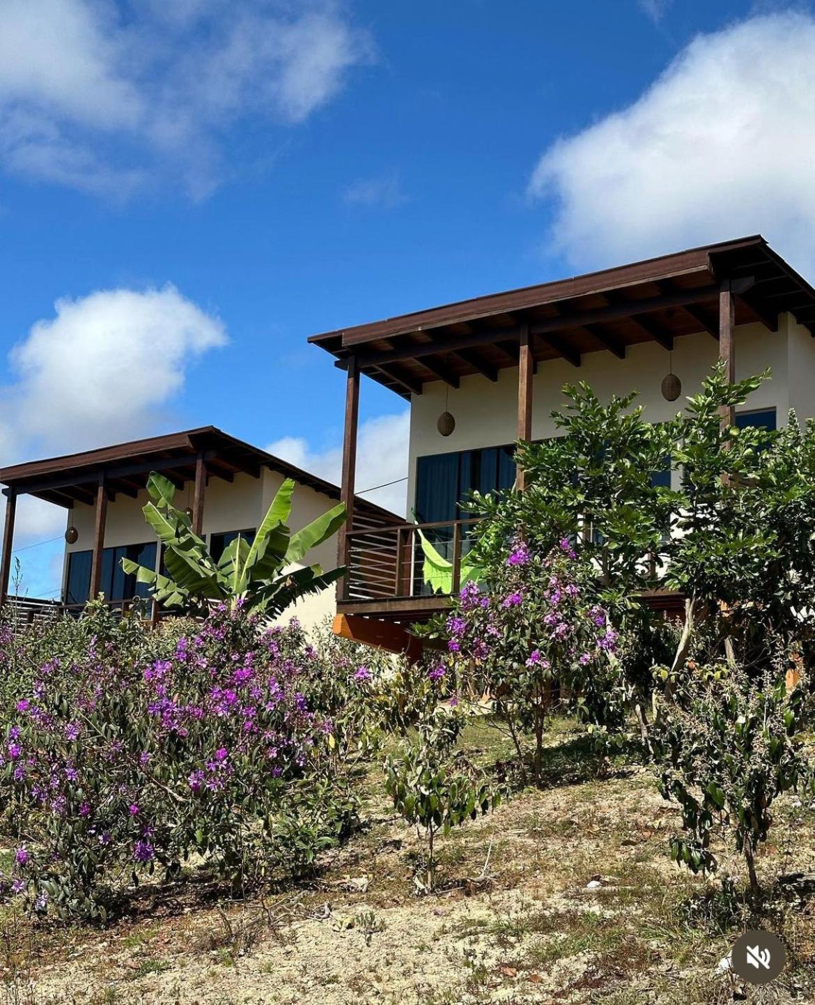 Pousada Rancho Dos Ipes Alto Paraiso de Goias Luaran gambar