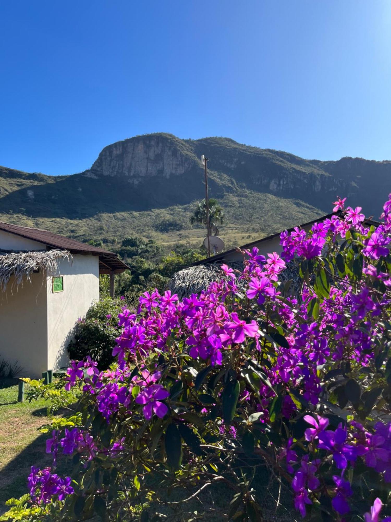 Pousada Rancho Dos Ipes Alto Paraiso de Goias Luaran gambar